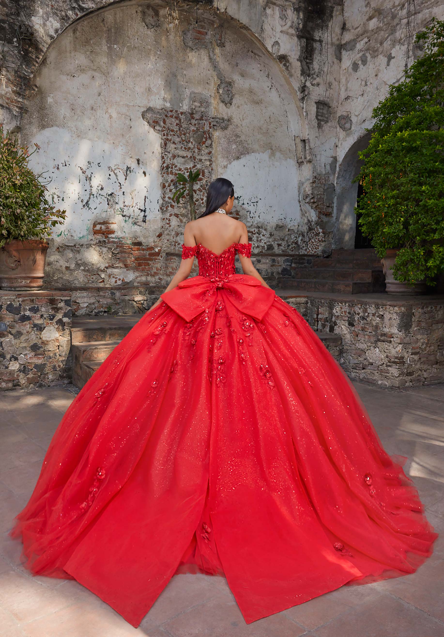 Alani Quinceañera Dress - Image 6