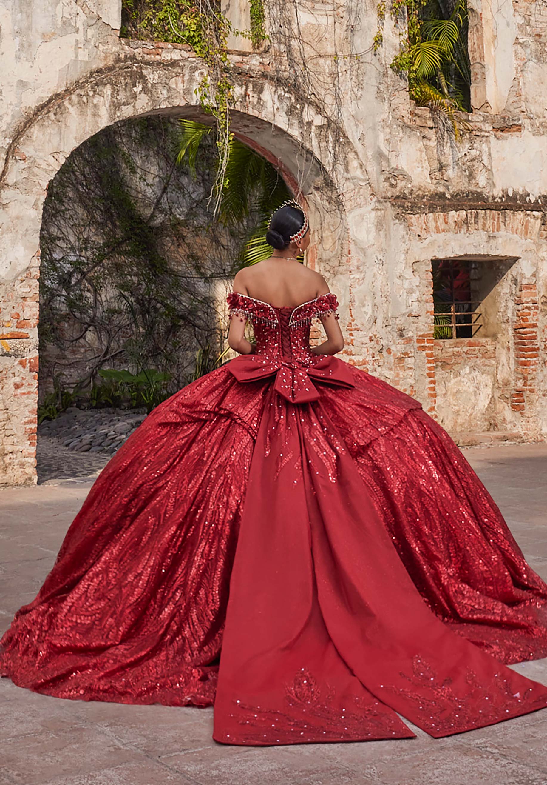 Amelia Quinceañera Dress - Image 6