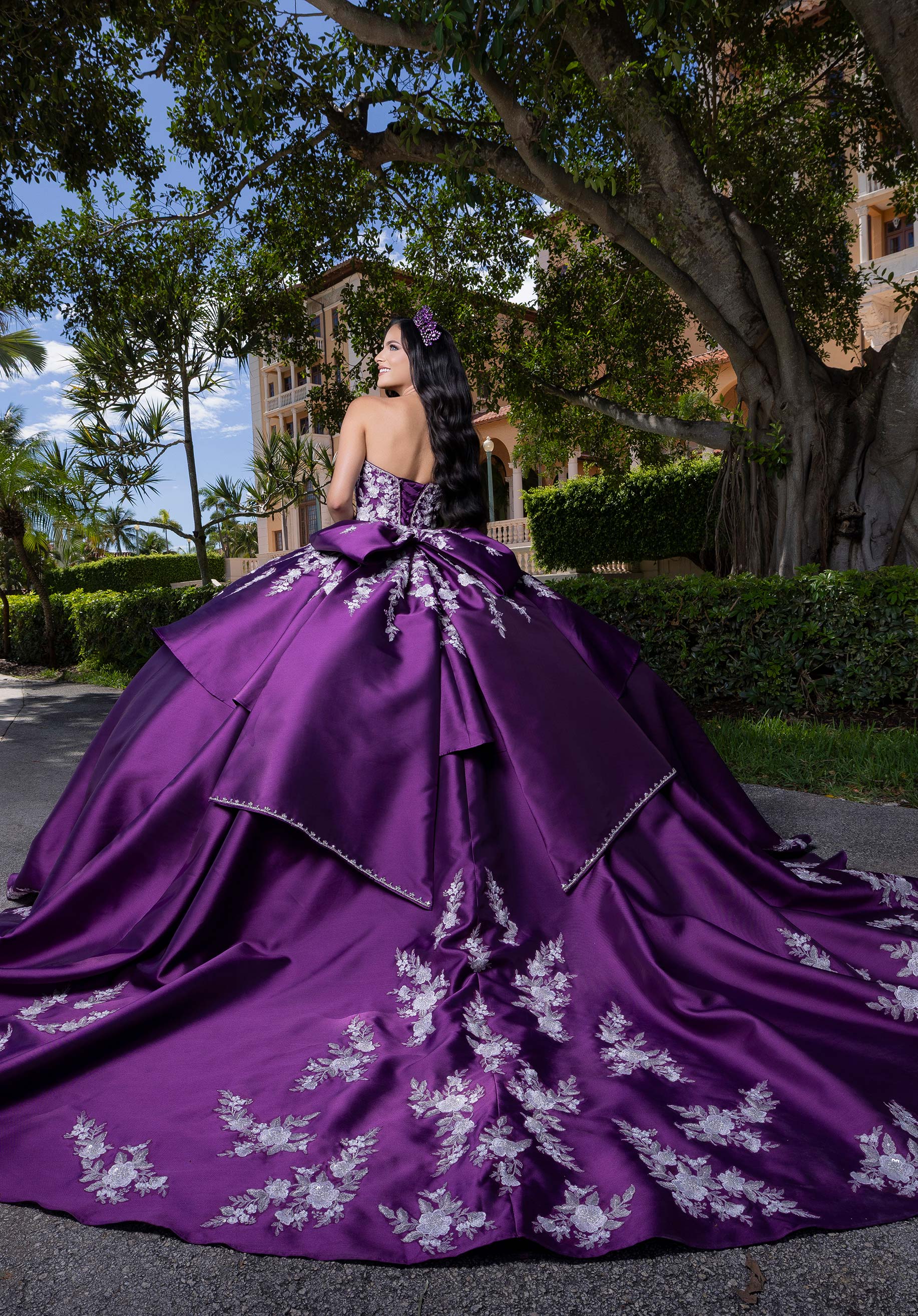 Brandy Quinceañera Dress - Image 4