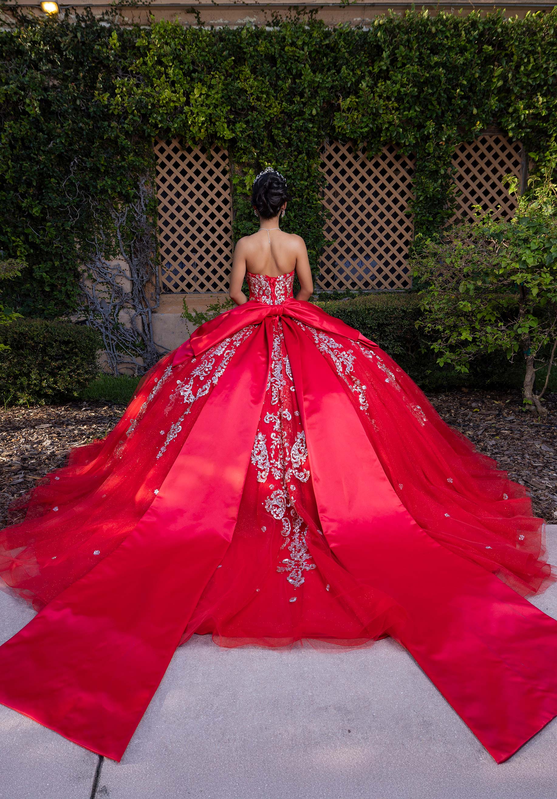 Brenda Quineañera Dress - Image 10