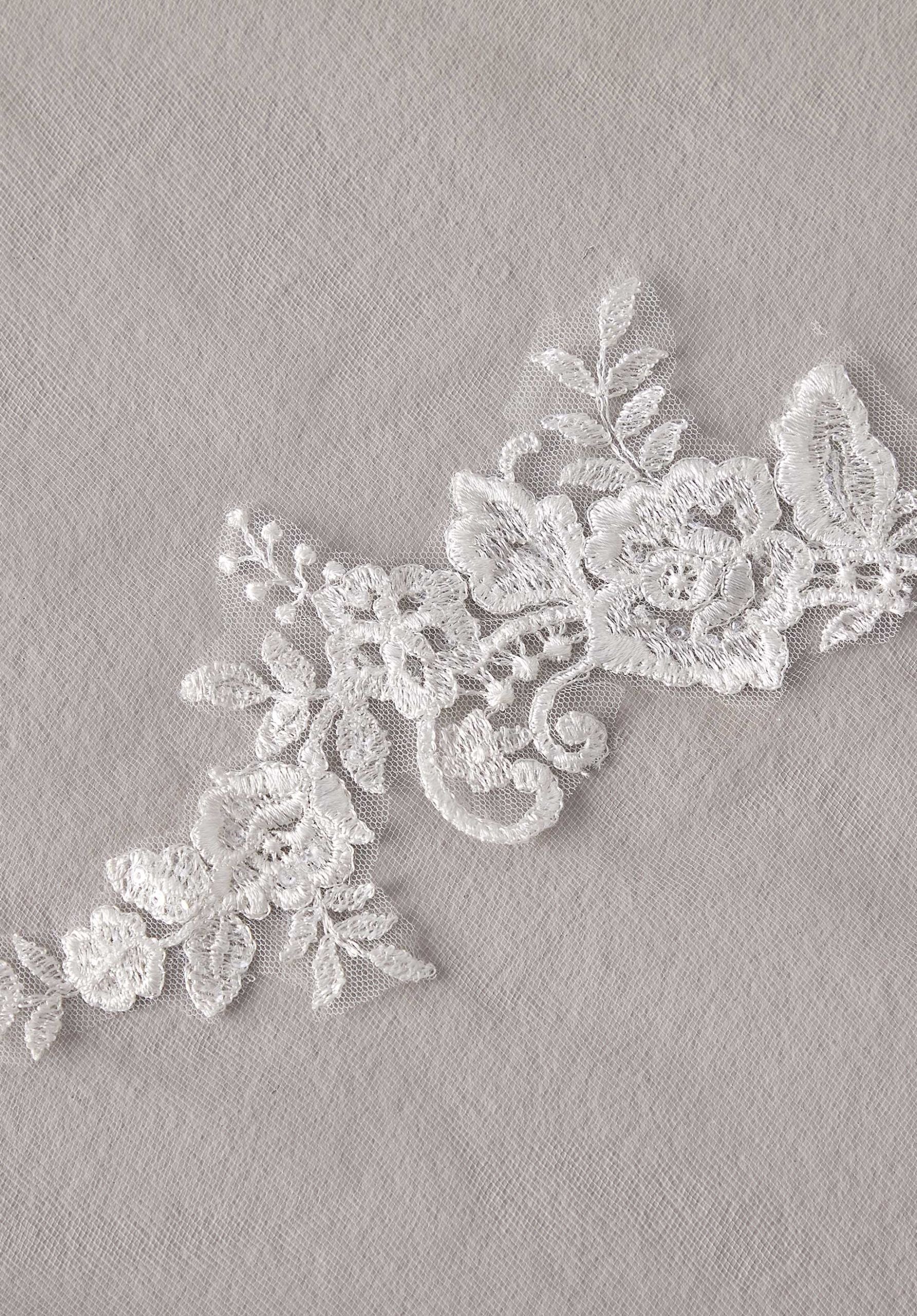 Cathedral Length Veil with Lace Appliqués - Image 5